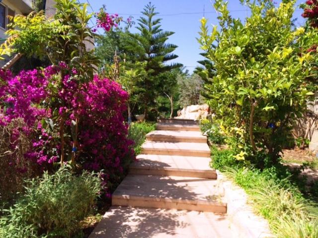 Jerusalem Hills Inn Abu Ghaush Dış mekan fotoğraf